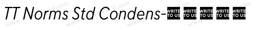 TT Norms Std Condens字体转换